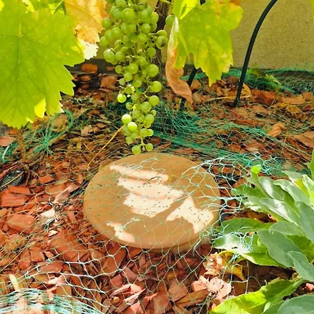 The People - Bercy باريس