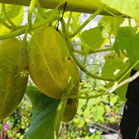 The People - Bercy 호스텔 파리