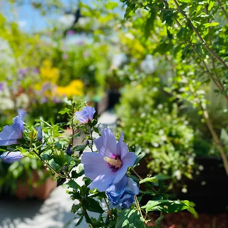 The People - Bercy * 파리