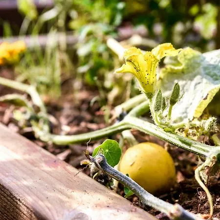 The People - Bercy 호스텔