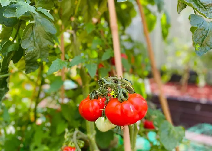 The People - Bercy 파리