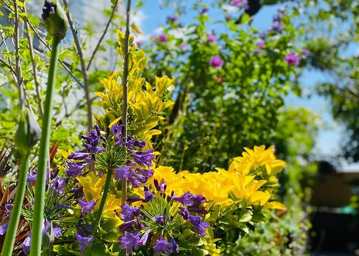 The People - Bercy * 파리