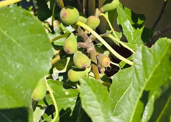 호스텔 The People - Bercy