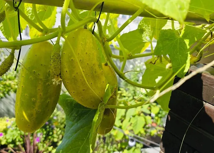 The People - Bercy 호스텔 파리