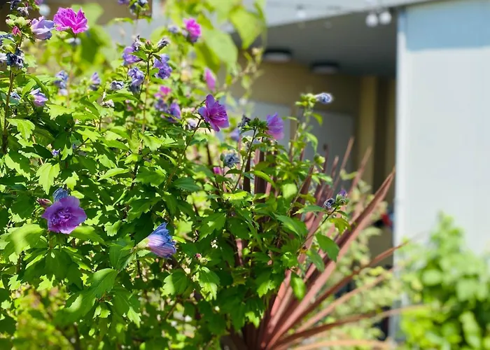 The People - Bercy 파리