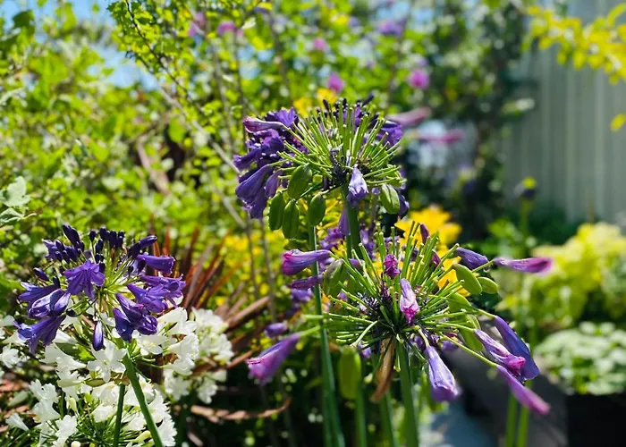 The People - Bercy *