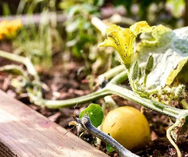 The People - Bercy 호스텔