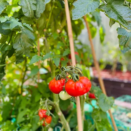 The People - Bercy Париж